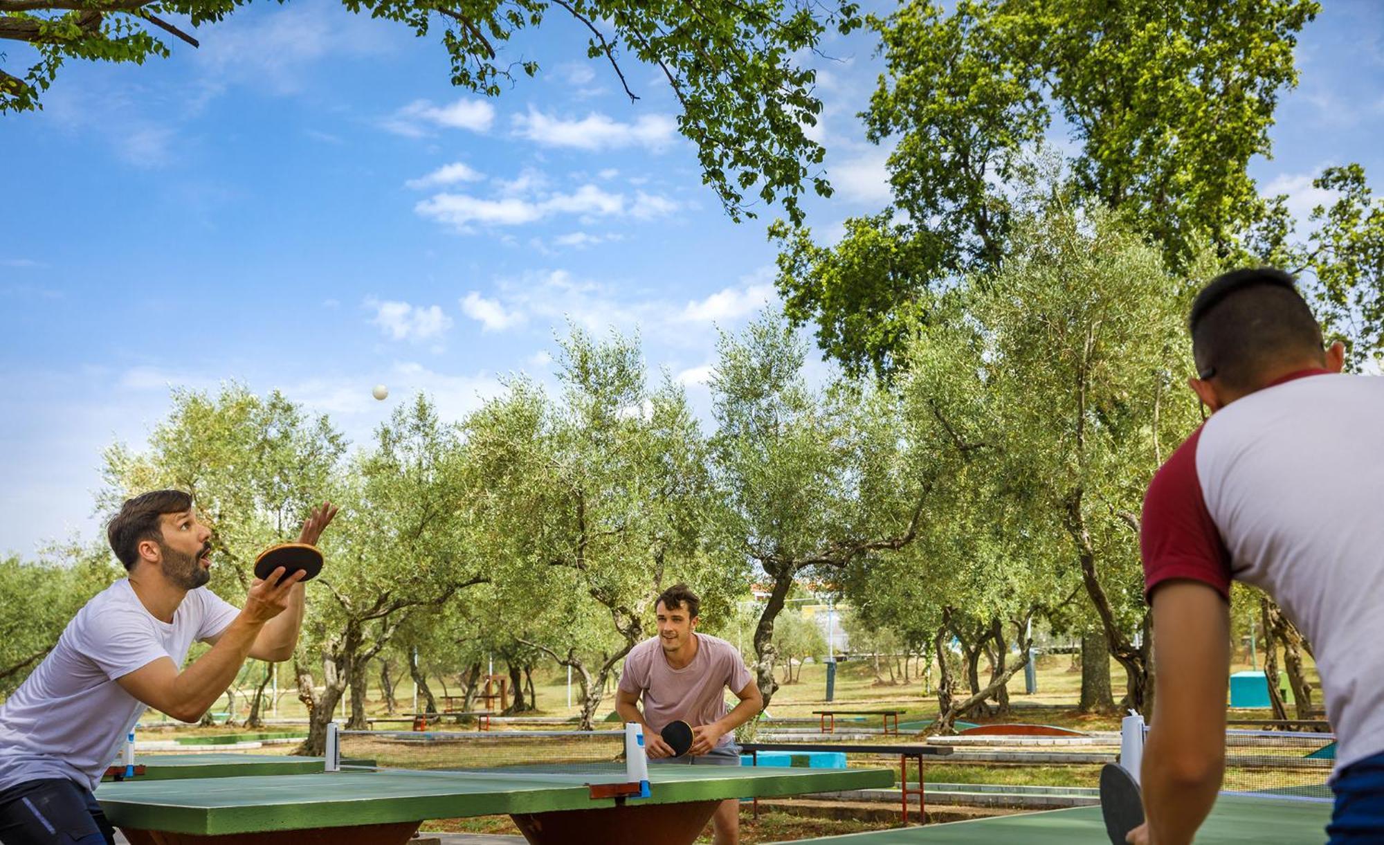 Aminess Planet Camping Maravea Resort - Pitches Novigrad Istria Exterior foto